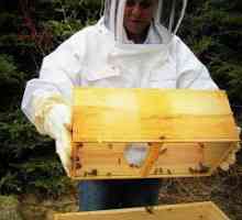 Hranilice za pčele sa svojim rukama (fotografija)