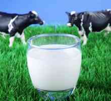 Masti, koristi i štete: kravljeg mleka