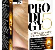 Slikarstvo "L'Oreal Prodigy": recenzije. Nove boje "Loreal Prodigy"