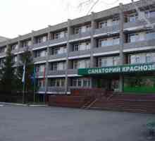 "Krasnozersky" sanatorijum u regiji Novosibirsk. lečilišta Novosibirsk