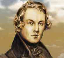 Kratku biografiju Schumann