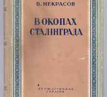 Sažetak Nekrasov "u rovovima Staljingrada" (roman)