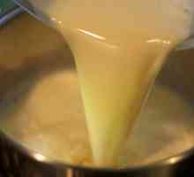 Krem mlijeka torta recept. Kako napraviti kremu od mlijeka?