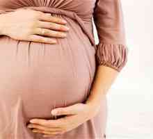 Krema protiv strija za vrijeme trudnoće: recenzije. Rejting kreme za strije