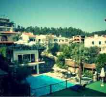 Kriopigiju beach hotel 4 * (Halkidiki, Kasandra): slike, cijene i recenzije