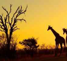 Kruger (Nacionalni park) Fotografije, opis