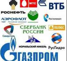 Velika preduzeća Rusija. Ruski industrijskim preduzećima