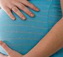 Veliki fetus tijekom trudnoće: karakteristike i proces isporuke