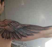 Krila na ruku: tetovaža koja odgovara svima