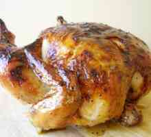 Piletina u Aerogrill: lako recept