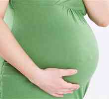 Kiseli kupus u trudnoći: da savetuje doktor?