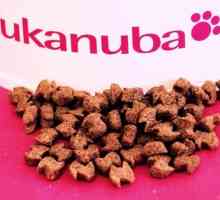 Mediciniranu hranu "Eukanuba" za pse - Dog Breeders recenzije