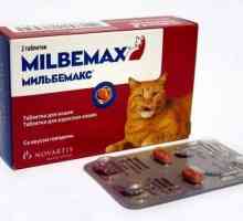 Tretman crijevna glista infekcije: priprema "milbemaks" za mačke