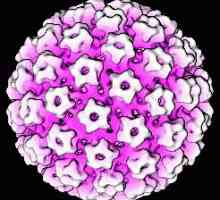 HPV Treatment - problematični