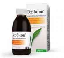 Medicine "Gerbion" (sirup trputac): uputstva za upotrebu