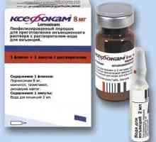 Medicine "Ksefokam" (injekcijama): uputstva za upotrebu, indikacije, kontraindikacije