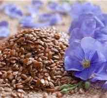 Sjemenke lana: mišljenja, se koristi u narodnoj medicini receptima