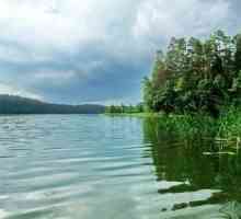 Lake Forest Belarus - priča divljih životinja
