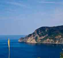 Ligurian mora u Italiji komentari i zanimljivosti