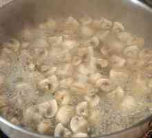 Pismenosti kampanje: kako kuhati gljive prije prženja?