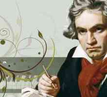 Ludwig van Beethoven radi
