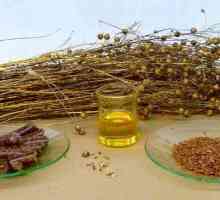 Laneno ulje. Korisni svojstva biljnih proizvoda i kontraindikacije