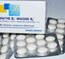 "Magnezij B6 Forte": uputstva za upotrebu. "Magnezij B6 Forte" u trudnoći:…