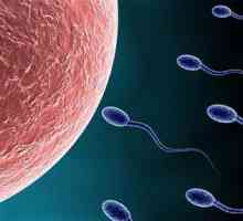 Spore sperme: uzroci i tretman