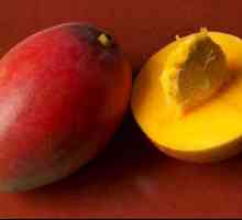 Mango (voće): opis i slike. Gdje raste mango? Koristi i štete od manga
