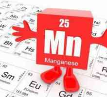 Mangan za ljudski organizam: uloga normi, koristi i štete