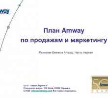 Marketing plan Amway