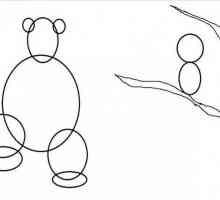 Master class "kako nacrtati Masha i medvjed"