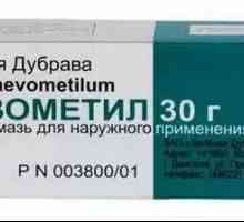 Mast "Levometil Pro": uputstva za upotrebu, indikacije