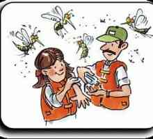 Mast uboda komaraca - prednosti i mane takvih droga.