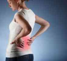 Masti od bolova u leđima: šta je bolje?