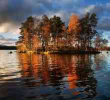 Bakar Lake - jedna od omiljenih destinacija za odmor u Sankt Petersburgu
