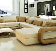 Sofa mehanizam: šta odabrati? Vrste sklopivi mehanizmi kauč, "delfin" Cougar…