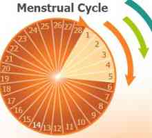 Menstruacija traje već 15 dana - šta da radim? Šta da radim ako ne zaustaviti uzimajući menstruacije