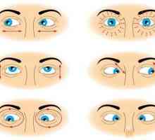 20-20-20 Metoda i druge načine kako bi zaštitili svoje oči od kompjuterski efekti