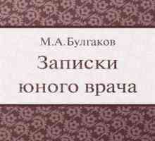 Mihail Bulgakov, "mladog doktora note": sažetak i analiza