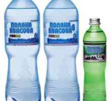 Mineralne vode "Polyana Kvasova": osobine, funkcije aplikacije, indikacije i…