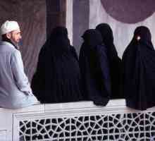 Poligamija u islamu: uvjetima, pravila. Zašto je poligamija dozvoljena u islamu?