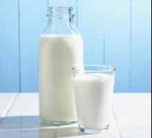 Dairy proteina. Protein u mliječnim proizvodima