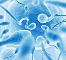 Morfologija sperme: prekršaja i poboljšanje