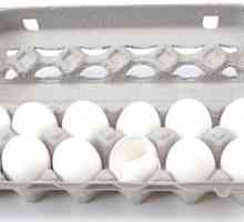 Mogu li jesti jaja svaki dan? Ono što je šteta na dnevnoj potrošnji jaja?