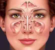 Mogu li zagrijati nos u sinusa? Kada sinusitis može se zagreje ili ne nos?