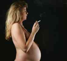 Da li je moguće da puše za vrijeme trudnoće, a da li je štetno za fetus?