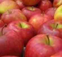 Da li je moguće da zamrzne jabuke za zimu, tako da su bili ukusni i očuvanje vitamina