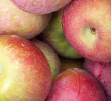 Da li je moguće da zamrzne jabuke za zimu i šta da im kuhati?