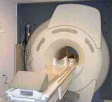 MRI abdomena i retroperitonealna prostora mišljenja. MRI abdomena: taj dio?